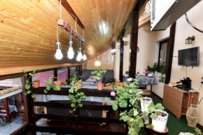 CASA TUDOR Buşteni